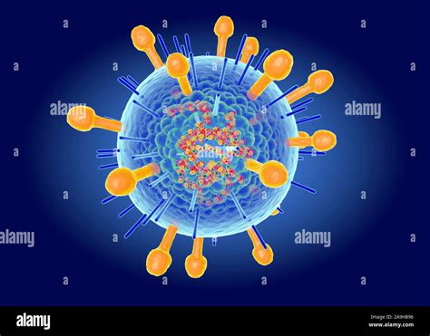 Hendra virus structure, illustration Stock Photo - Alamy