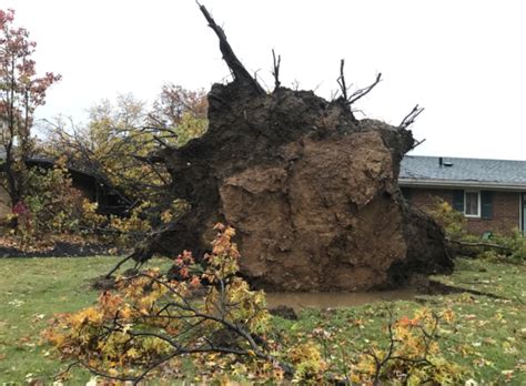 PHOTOS: Storm damage across Ohio