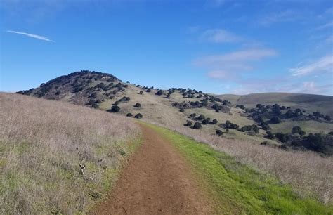 Brushy Peak Regional Preserve - tripswithvanda