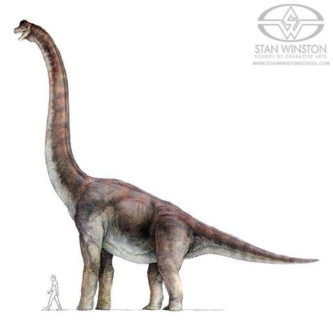 Jurassic Park Concept Art - Brachiosaurus (Alt.) by IndominusRex on ...