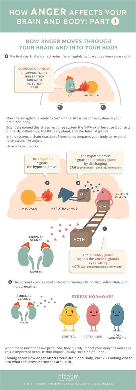 How Anger Affects Your Brain and Body, Part 1 — with links to Parts 2 and 3 | Later On