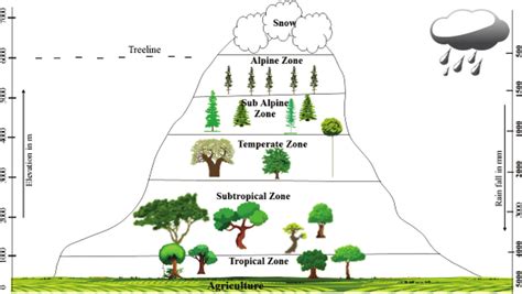 An Illustration of Vegetation zonation in Himalayan hill ranges... | Download Scientific Diagram