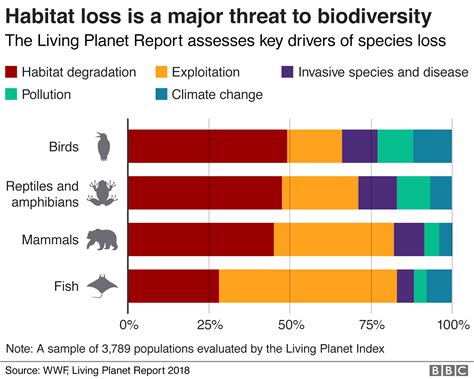 Pin on Yes Biodiversity!