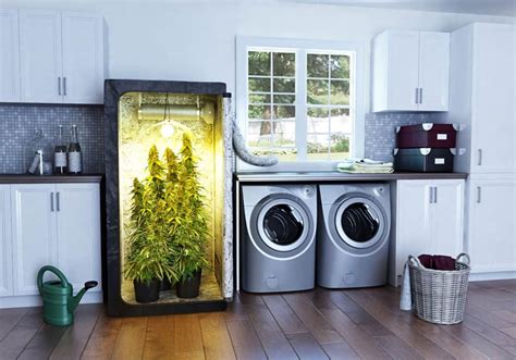 8 Best Grow Tents for Growing Marijuana - 2020 Review