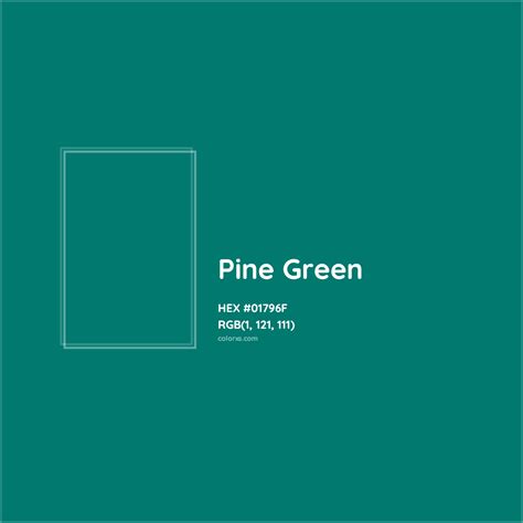 Pine Green Complementary or Opposite Color Name and Code (#01796F) - colorxs.com