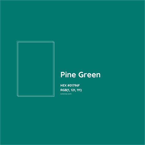 Pine Green Complementary or Opposite Color Name and Code (#01796F ...