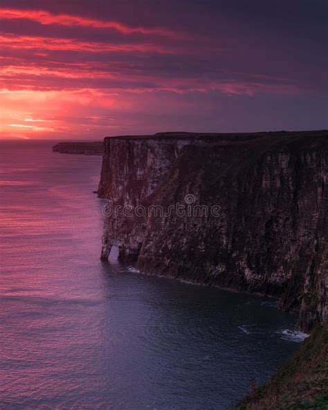 Sea Birds At Bempton Bird Sanctuary Stock Image - Image of guillemot, cliffs: 53049821