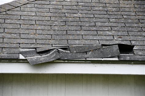 3 Types Of Roof Damage: Find & Prevent (Homeowners Guide)