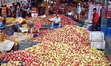 Kashmiri apple growers send 6 lakh tons of apples outside