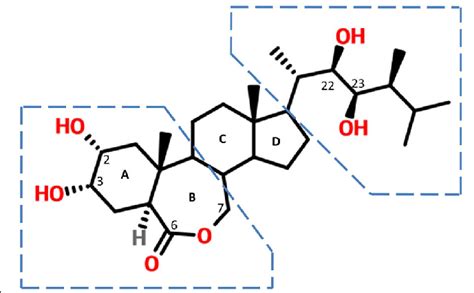 The chemical structure of brassinolide (BL) with the steroid rings... | Download Scientific Diagram