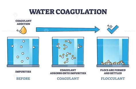 Water coagulation process explanation for liquid treatment outline diagram – VectorMine