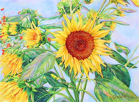 sunflower pictures watercolor - Google Search | Watercolor sunflower, Sunflower pictures ...