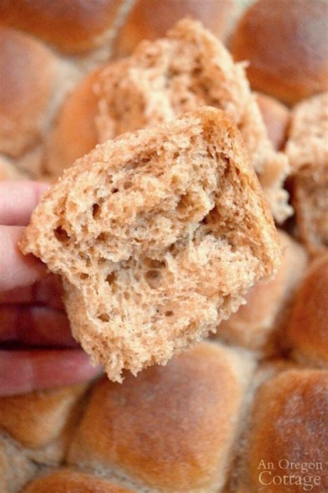 Soft 100% Whole Wheat Dinner Rolls - An Oregon Cottage