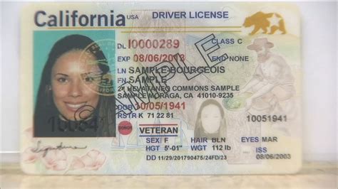 California dmv lookup driver license - daserana