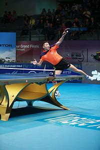 Free photo: table tennis, ping pong, passion, sport | Hippopx