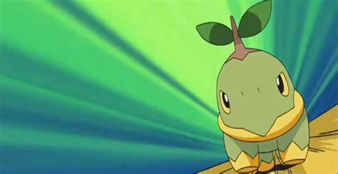 361+ Cool & Cute Awesome Turtwig Nicknames AI Listed