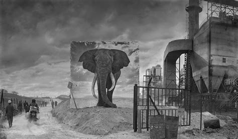 Nick Brandt: Inherit the Dust | MONOVISIONS - Black & White Photography Magazine