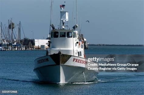 Disappearance Of Patrick Mcdermott Photos and Premium High Res Pictures - Getty Images