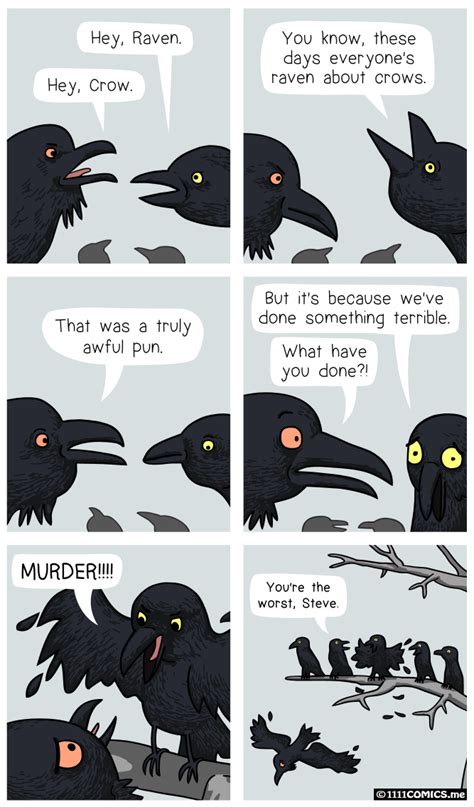 The raven and the crow. | Crow, Funny animal memes, Raven