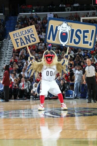 Pierre the Pelican Photo Gallery | NBA.com