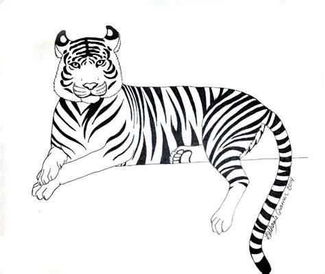 Tiger Line Drawing | Free download on ClipArtMag