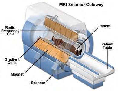 7 Essential parts of a modern MRI machine. [12] | Download Scientific ...