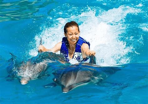 Dolphin Royal Swim Oahu Hawaii - High Season Rate