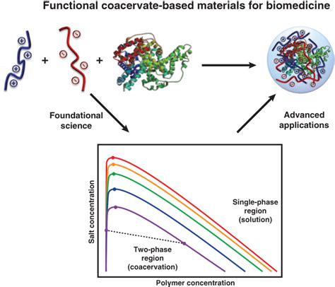 Complex coacervate‐based materials for biomedicine - Blocher - 2017 - WIREs Nanomedicine and ...