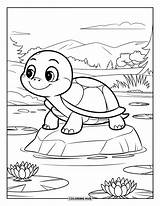 120  Coloriages De tortues Pour Enfants Et Adultes PDF Gratuits à sketch template