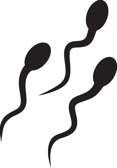 Sperm cells silhouette 4851322 Vector Art at Vecteezy