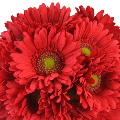 Red Daisy Bouquet| Bridal Wedding Bouquet | TheBridesBouquet