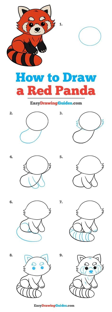 25 [TUTORIAL] HOW TO DRAW STEP BY STEP RED PANDA with VIDEO + PDF PRINTABLE DOCX DOWNLOAD ZIP ...