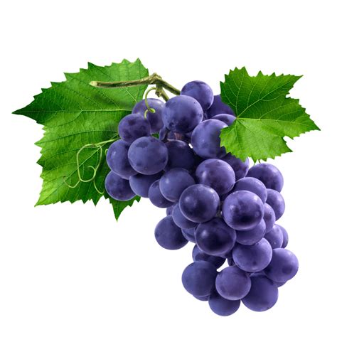 Purple Grapes Fruit | ubicaciondepersonas.cdmx.gob.mx