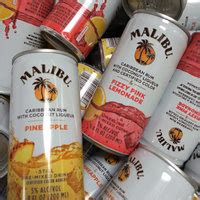 MALIBU Malibu 4pk Pink Fizzy Lemonade Reviews 2019