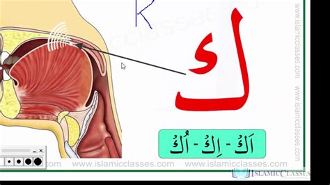 Makhraj No 5 17 Makhraj Of Kaaf Articulation Points Of Arabic Alphabet Letters – Otosection