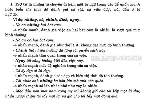 Trợ từ là gì? Thán từ là gì trong Tiếng Việt? cho ví dụ và bài tập áp dụng