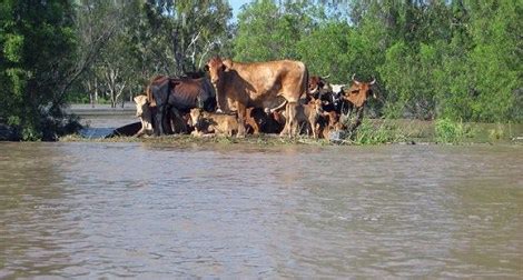 Joseph Angli: Climate Change and changes in Papua New Guinea