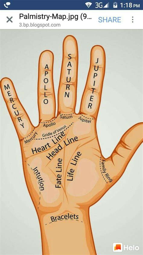 Palm reading | Learn astrology, Palmistry, Palm reading