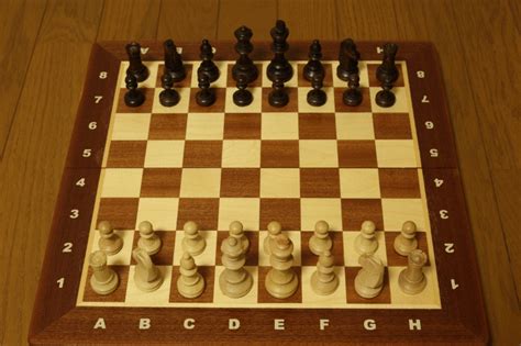 Chess GIFs - Find & Share on GIPHY