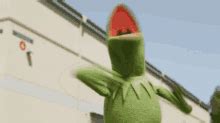 Kermit Yay GIFs | Tenor