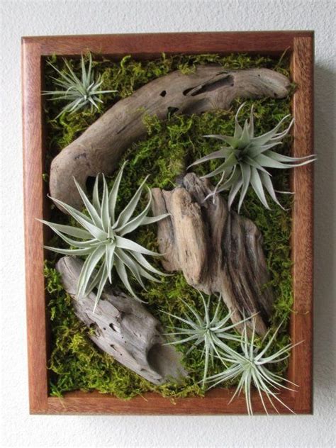 20 Collection of Air Plant Wall Art