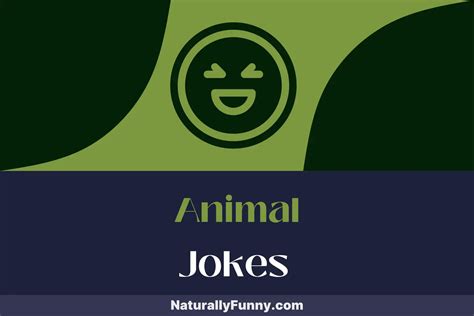 226 Animal Jokes to Unleash Your Sense of Humor - Naturally Funny