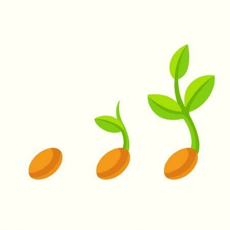 three sprouts with leaves on white background royalty illustration