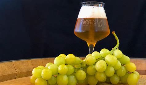 In Vinocervisia Veritas: The Rise of Wine Beers - DrinkedIn Trends