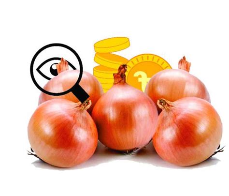 Onion market under strict surveillance – The Daily Industry