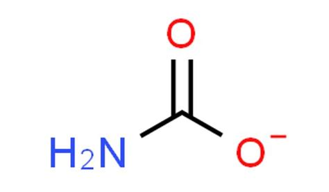 Carbamate - a Category of Organic Compounds - Assignment Point