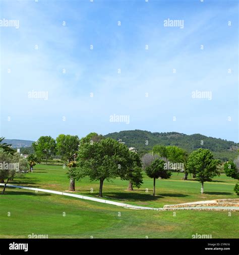 Green grass on a golf field Stock Photo - Alamy