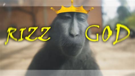 MONKEY RIZZ 4K 🐒👑 - YouTube