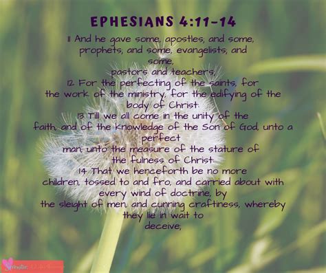 #SerenitiesJourney #ALifesJourney #LDS Scripture Mastery, Ephesians 4, Edifying, Religious ...