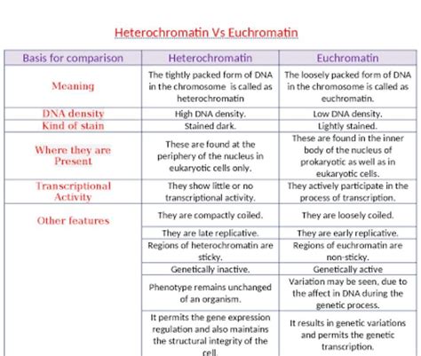 Difference Between Euchromatin & Hetrochromatin.─────── ───────Plz Explain also. - Brainly.in